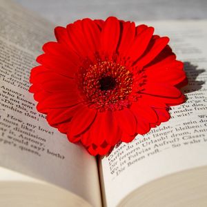 八幡西区でシャッター修理のご依頼をいただきました
