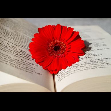 八幡西区でシャッター修理のご依頼をいただきました